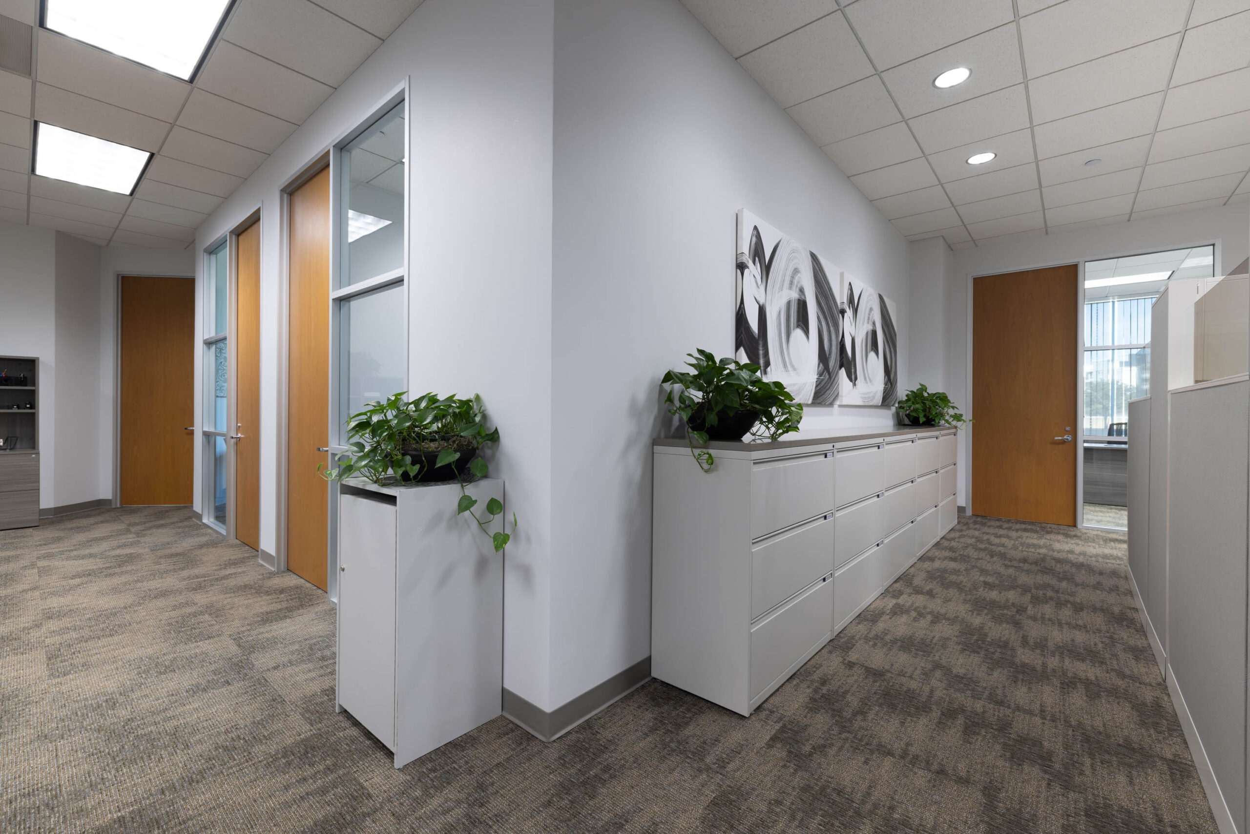 Office hallway with gray carpet, Stewart Title filing cabinets, plants, and wall art. Natural light filters in from windows.